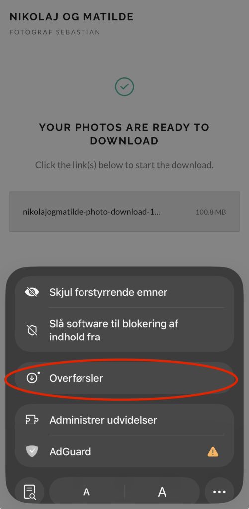 Safari-menuen med Overførsler markeret