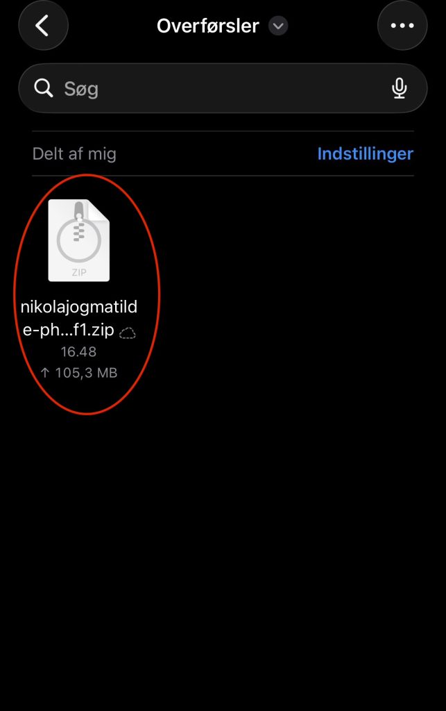 Zip-filen i mappen Overførsler i appen Filer