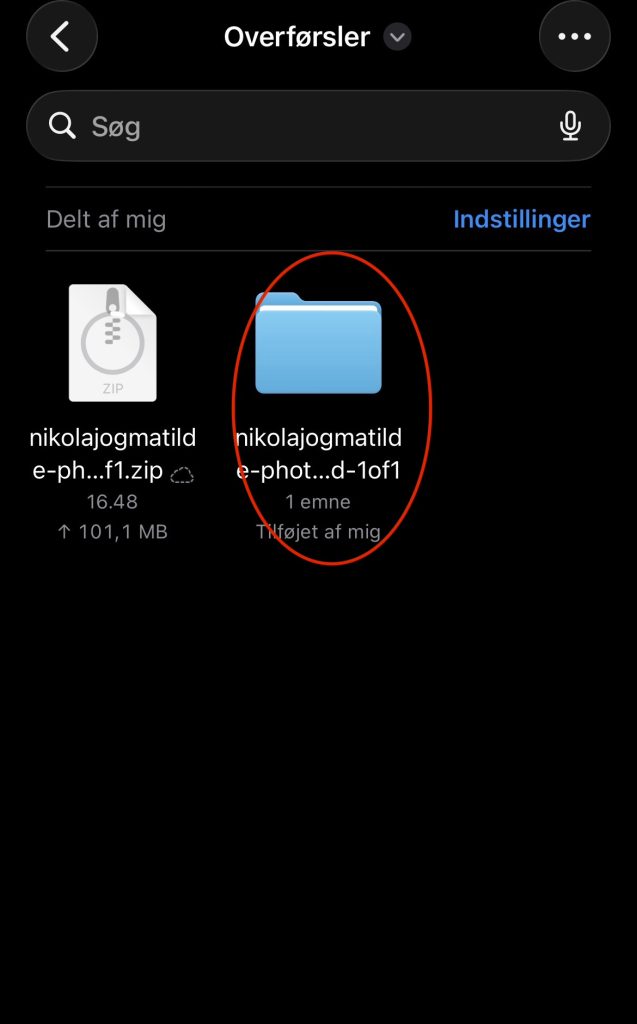 Den udpakkede mappe ved siden af zip-filen i Filer