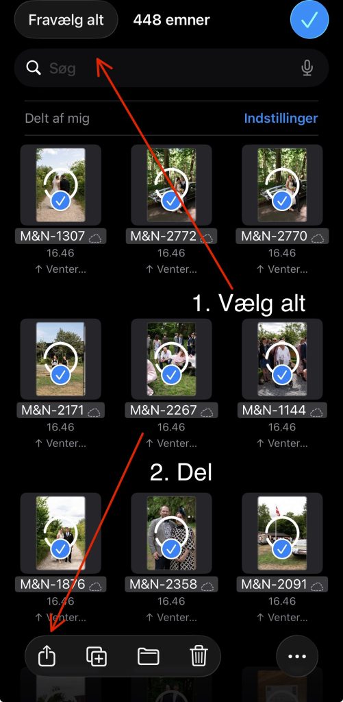 Alle billeder valgt i Filer med pile til Vælg alt og del-ikonet