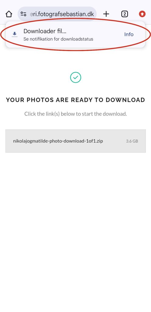 Chrome viser beskeden Downloader fil