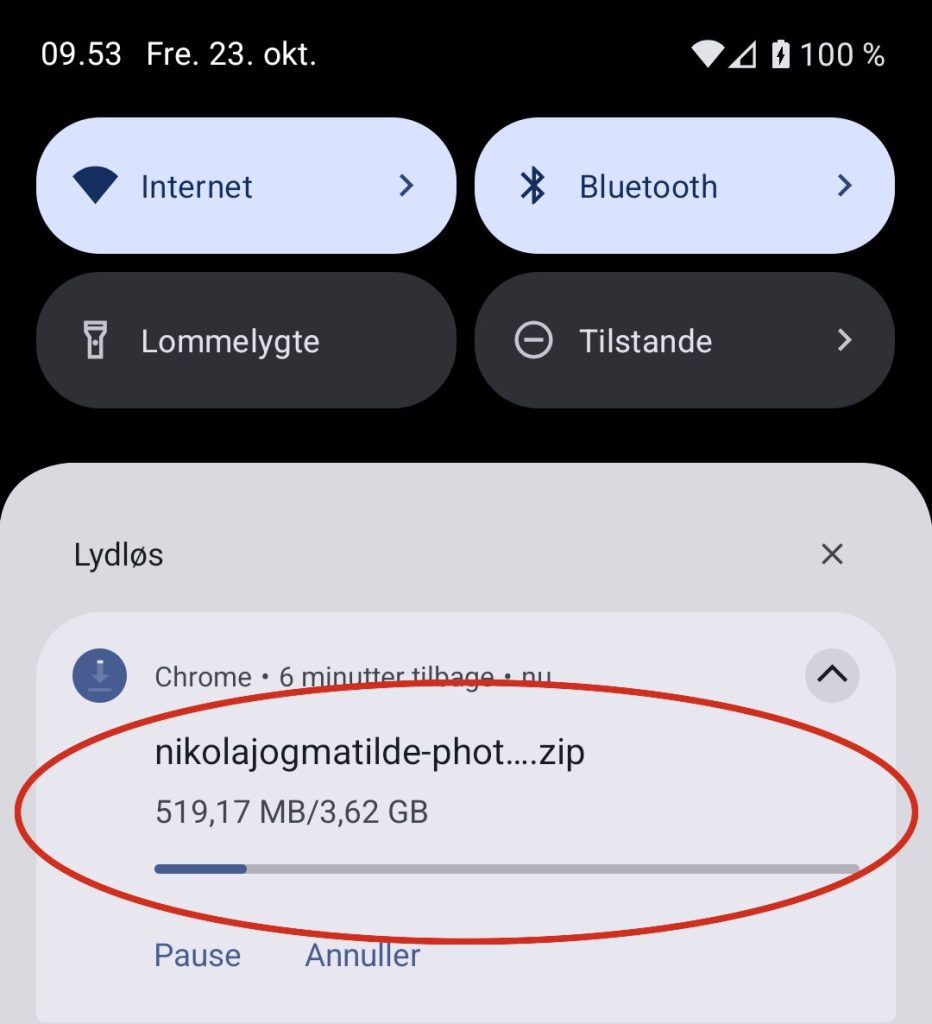 Notifikationen med downloadstatus for zip-filen