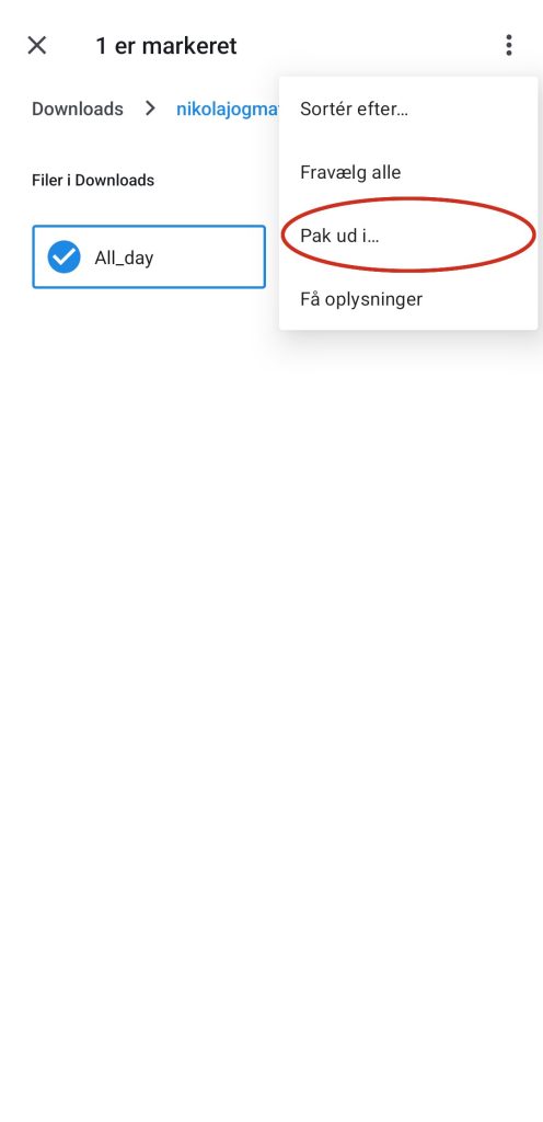 Menuen i Filer med Pak ud i markeret